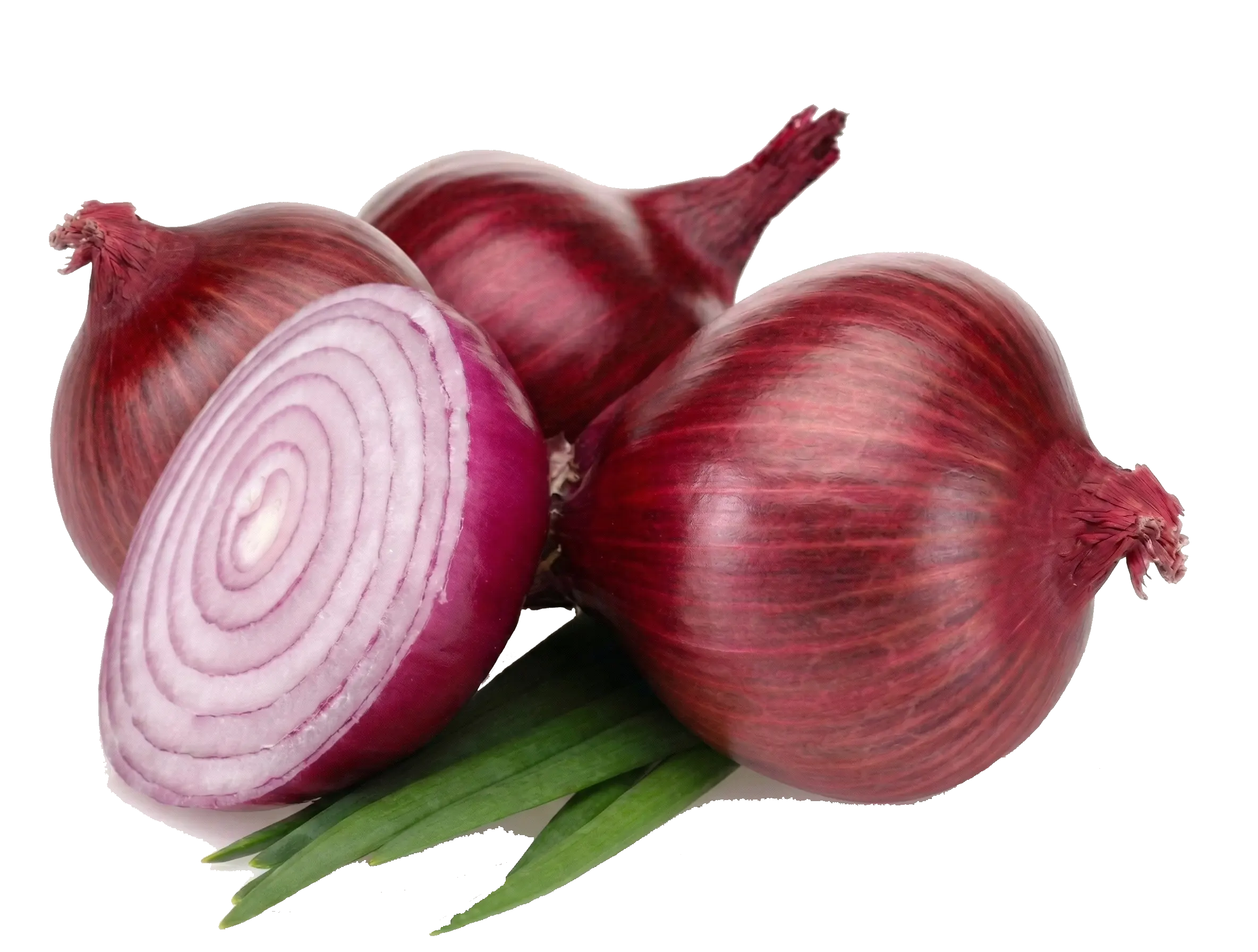 Fresh Vegetables & Roots