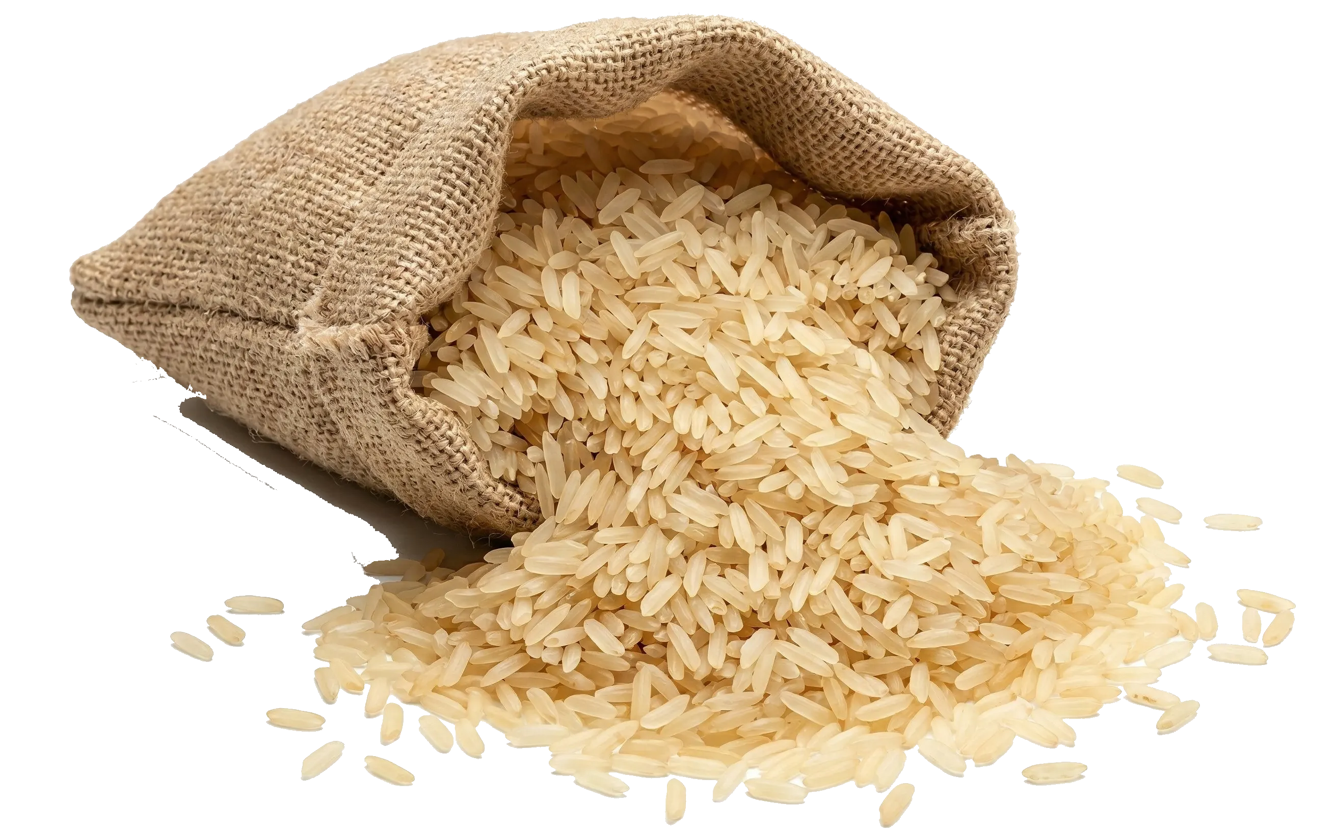 Rice & Grains